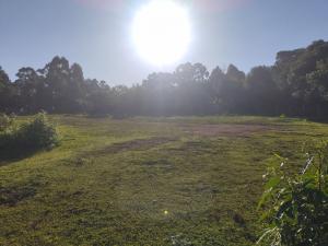 TERRENO - VENDA - BAIRRO UVARANAS