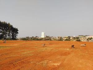 tERRENO - VENDA - BAIRRO BOA VISTA – VILA SENADOR FLÁVIO C. GUIMARÃES 