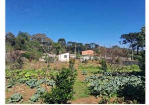 VENDA - TERRENO - DISTRITO DE GUARAGI 