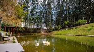 VENDA - RESIDÊNCIA - COLÔNIA DONA LUIZA - GARDEN PARK