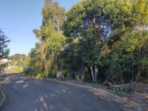 VENDA - CHACARA - BAIRRO UVARANAS - JARDIM CINTO VERDE
