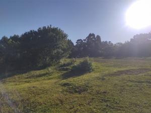 VENDA - CHACARA - BAIRRO UVARANAS - JARDIM CINTO VERDE